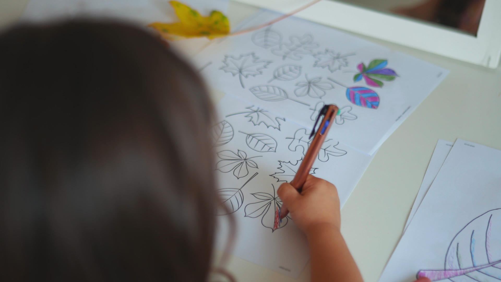 小女孩用笔在纸上画了不同种类的叶子视频的预览图