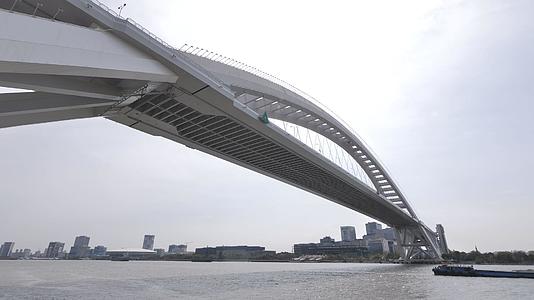 卢浦大桥全貌仰视视频的预览图