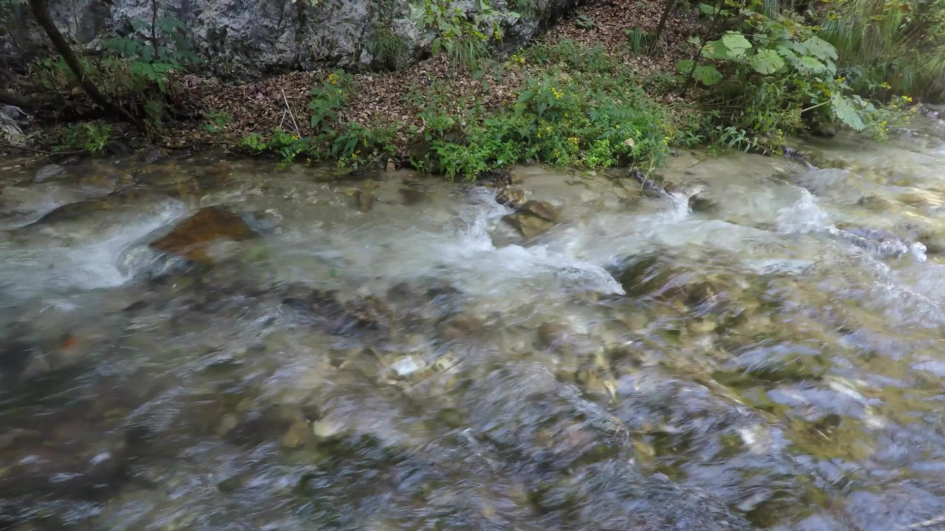 夏天清澈清澈的溪流春天的声音视频的预览图