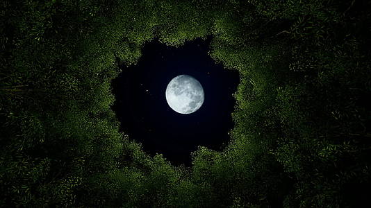 夜晚圆圆树动画视频的预览图