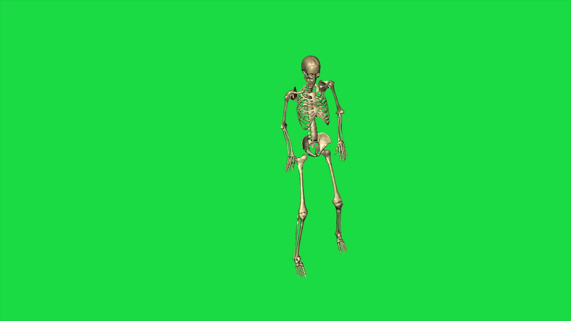 3D骨骼事故的动画落在绿上视频的预览图