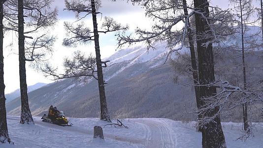 冬日白桦林行驶雪地摩托视频的预览图