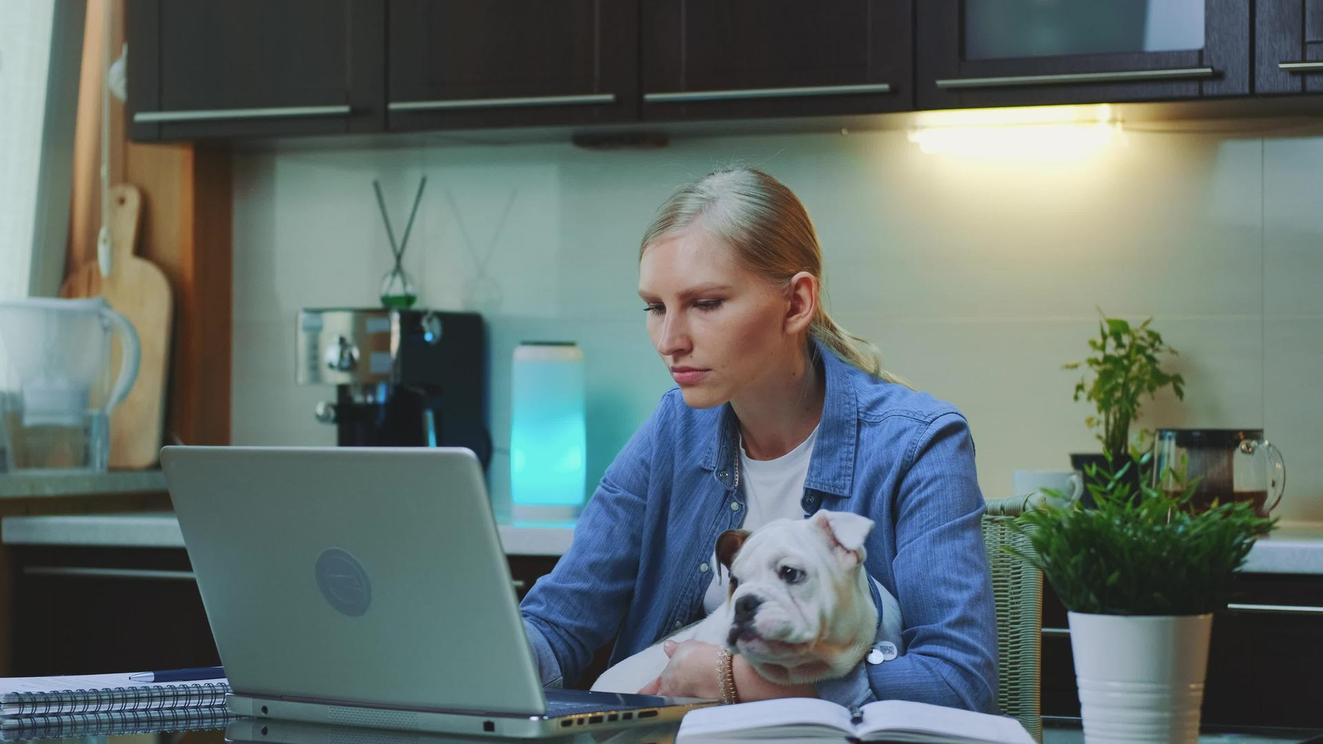 年轻女子在电脑上工作手里拿着小狗视频的预览图