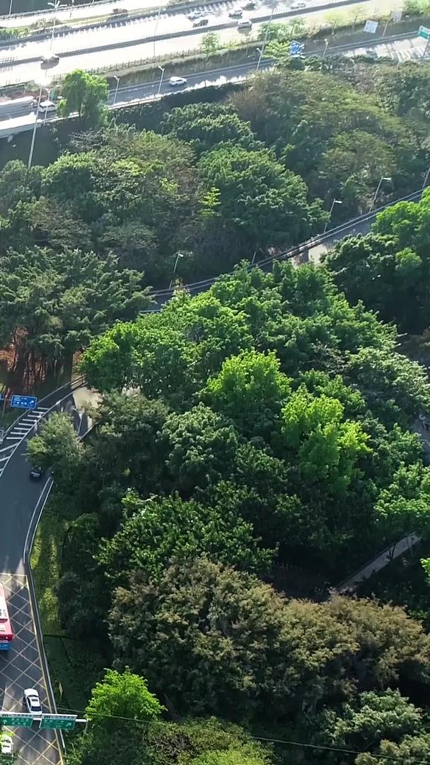 深圳南山区道路交通航拍视频的预览图