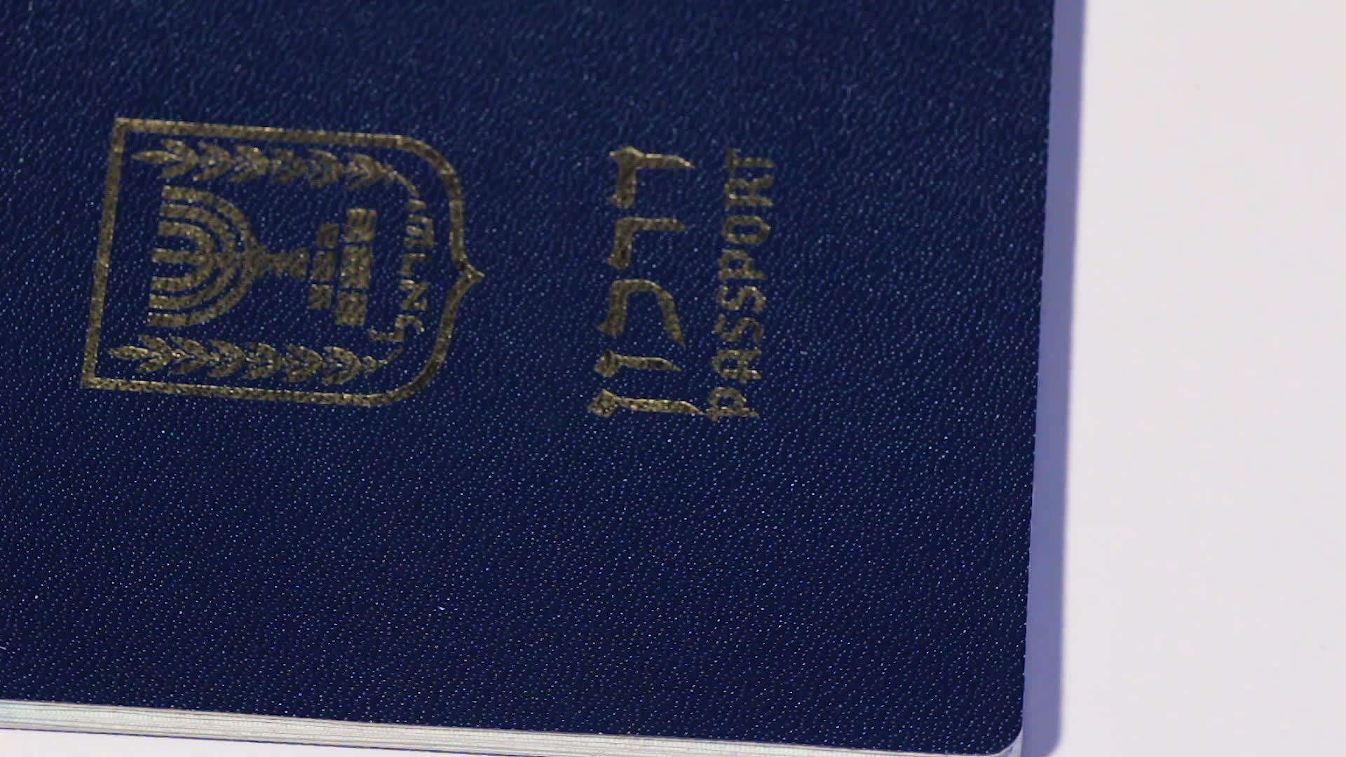 旋转等离子护照的白色背景视频的预览图