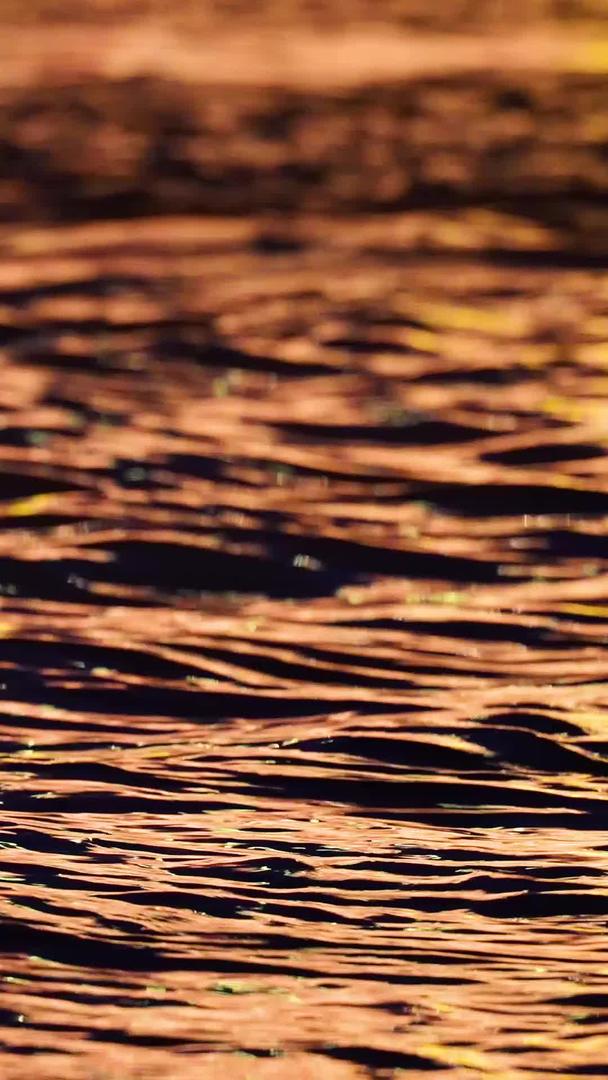 材料慢镜头升格拍摄夜晚波光粼粼的江景水面空镜头视频的预览图