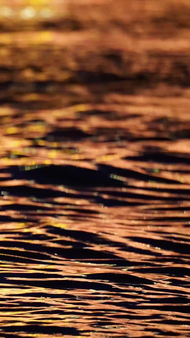 材料慢镜头升格拍摄夜晚波光粼粼的江景水面空镜头视频的预览图