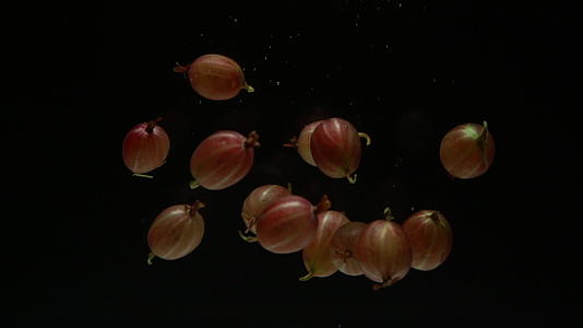 鹅莓潜水运动缓慢视频的预览图