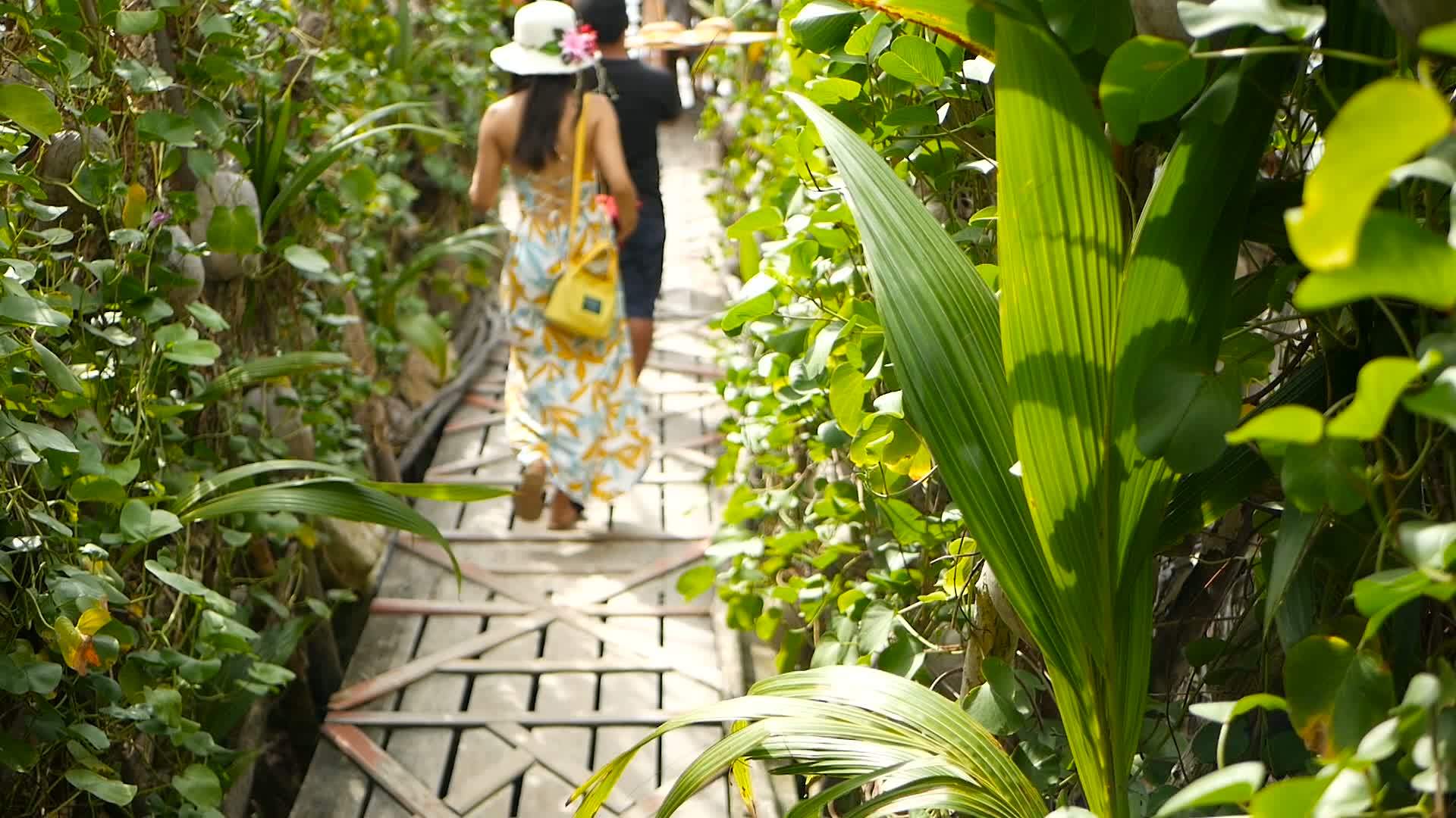 2018年8月21日泰国帕岸岛在热带灌木丛和海滩之间视频的预览图