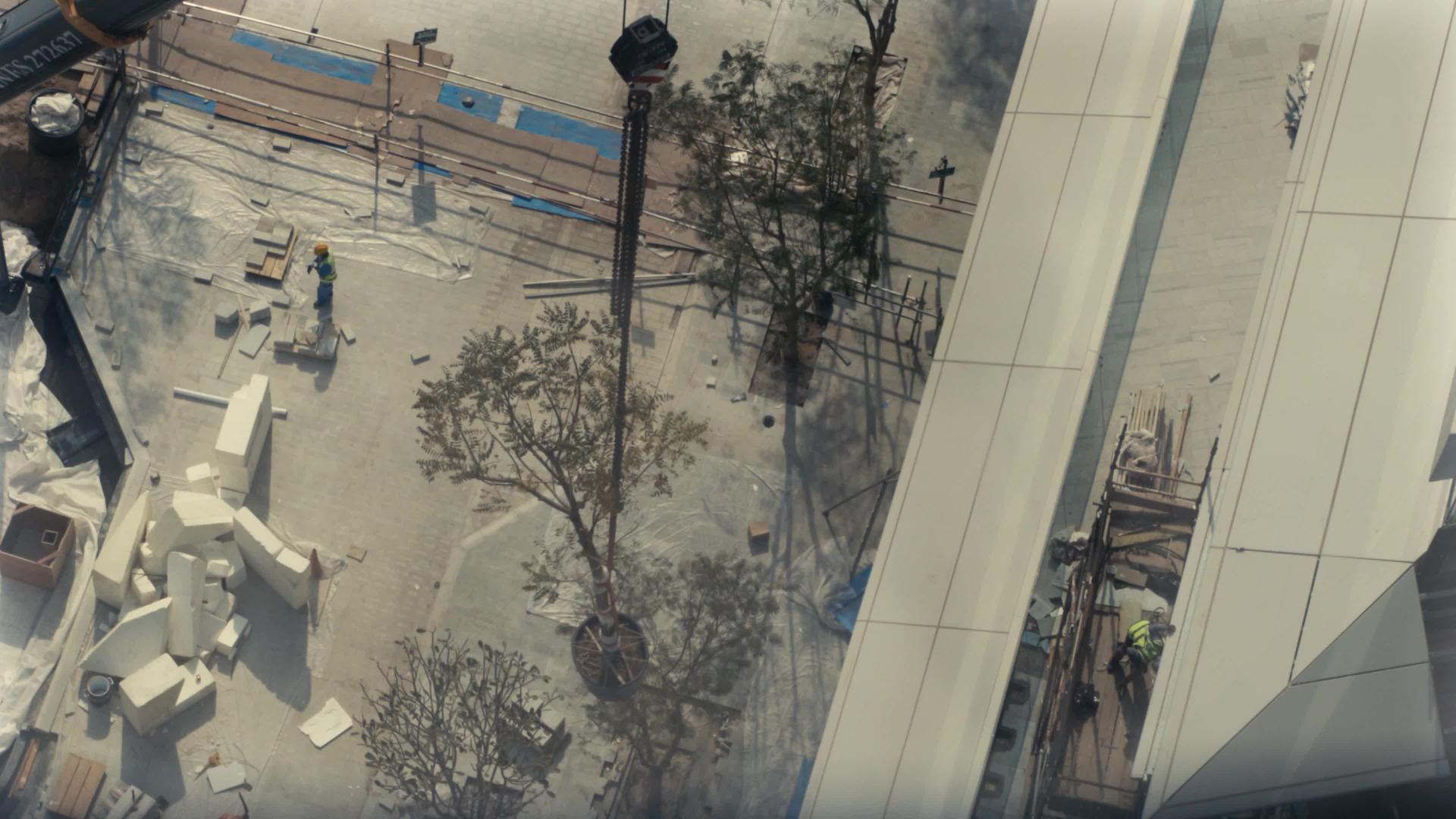 阿联酋迪拜-大约2020年起重机在建筑工地上吊起盆栽视频的预览图