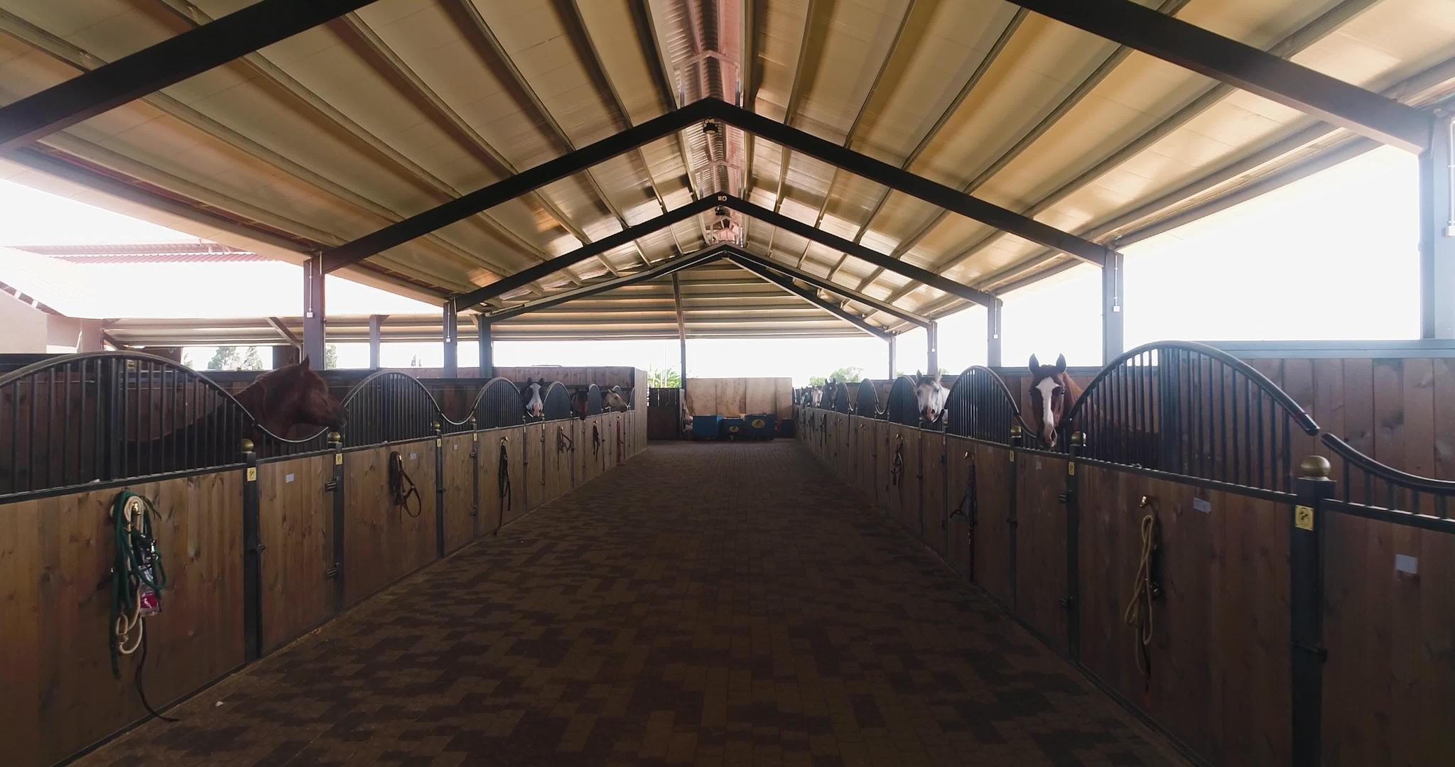 内部视图或马种马谷仓牧场空中小车白天在农村马农舍视频的预览图