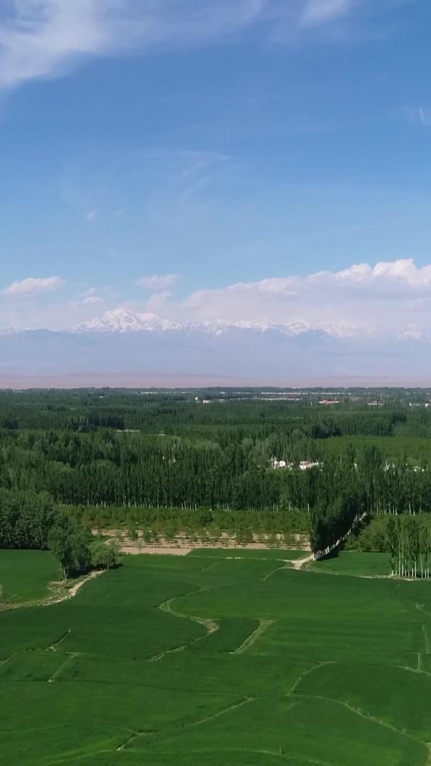 新疆阿克苏农业基地航拍视频的预览图