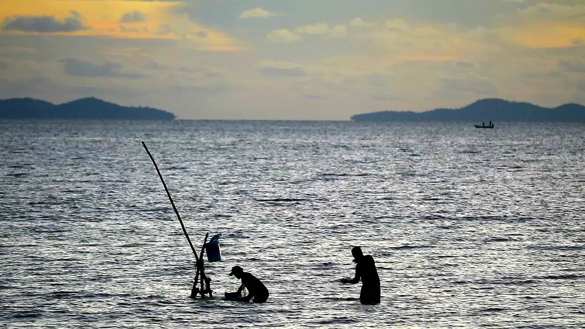 两个人在海上收集渔网把鱼分开存放在一个桶里视频的预览图