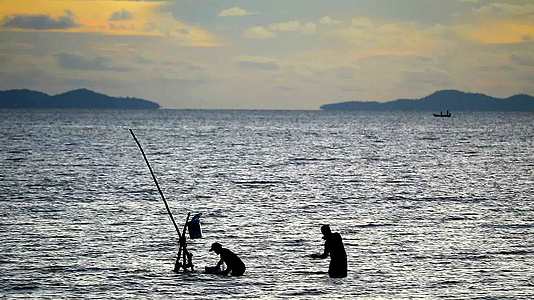 两个人在海上收集渔网把鱼分开存放在一个桶里视频的预览图