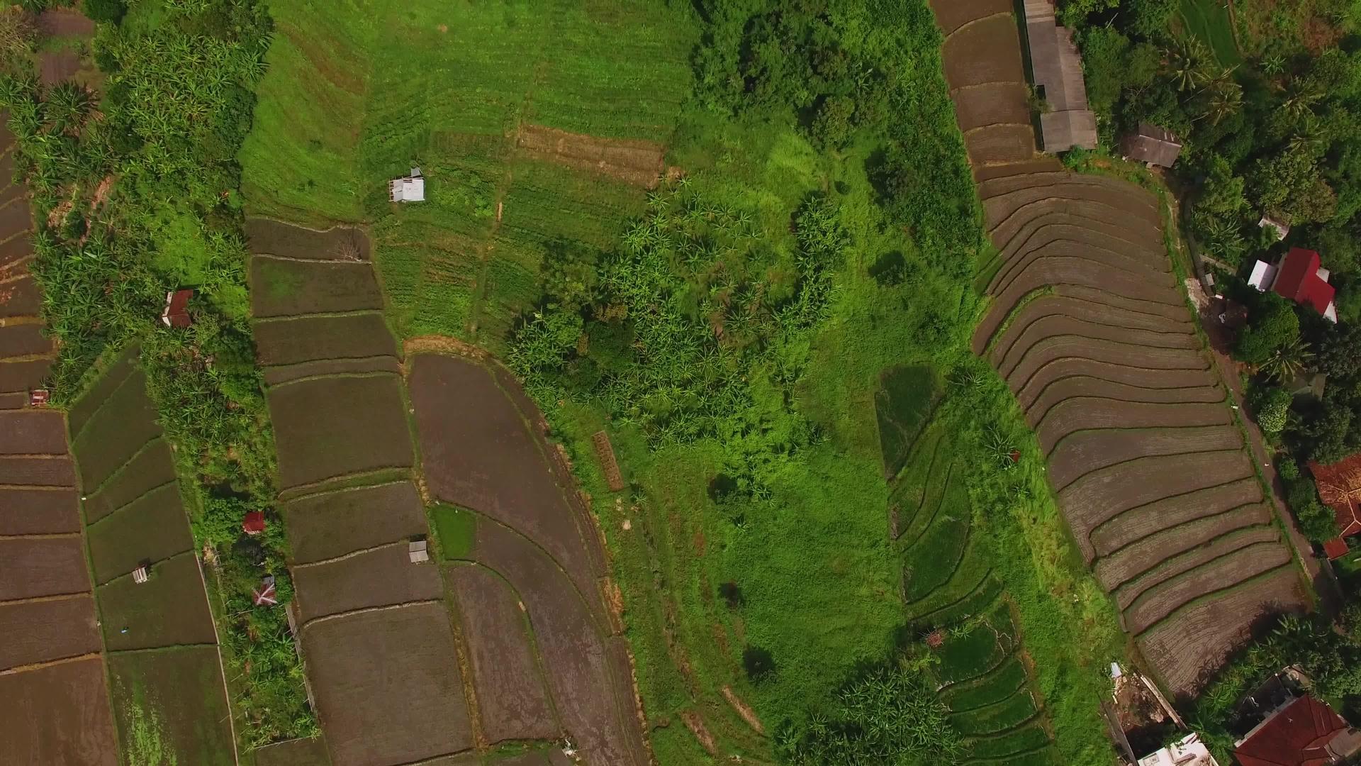 豪华别墅和稻田视频的预览图