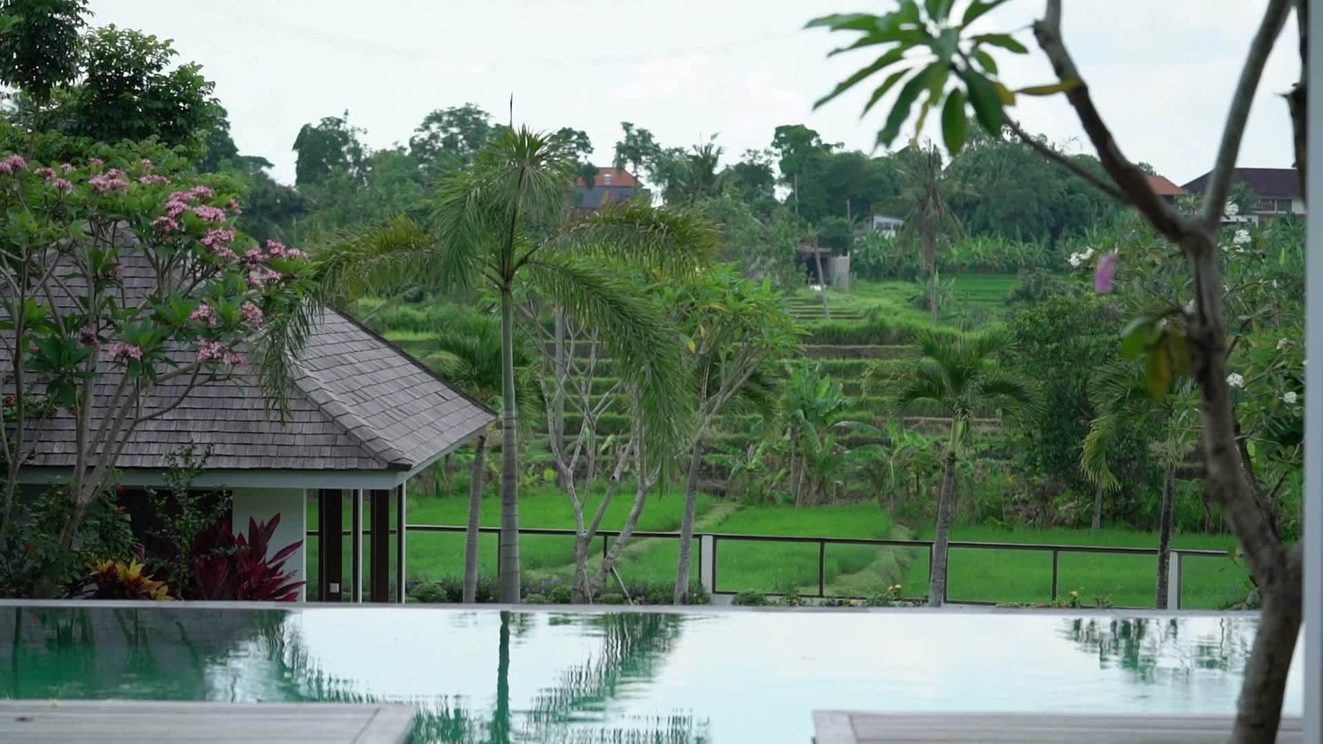 豪华别墅位于巴利视频的预览图