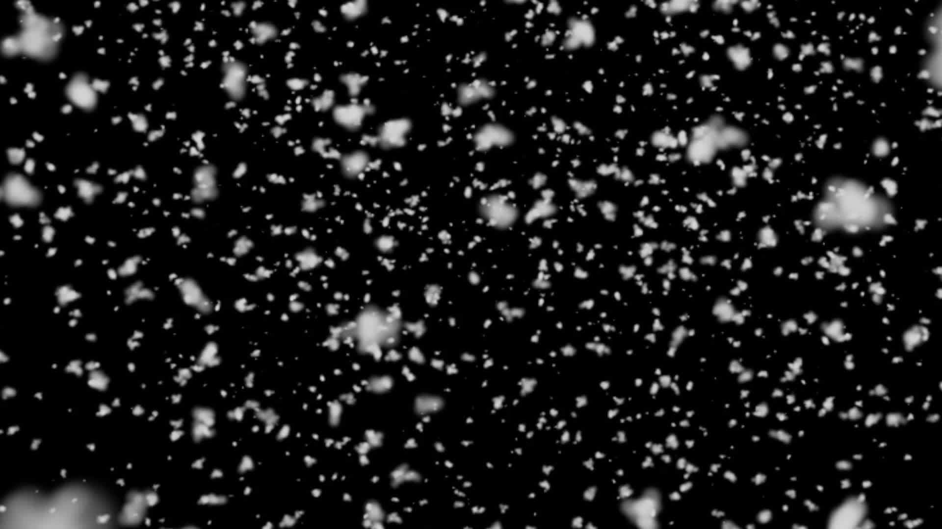 大量的雪花从上面落在黑色的背景下视频的预览图