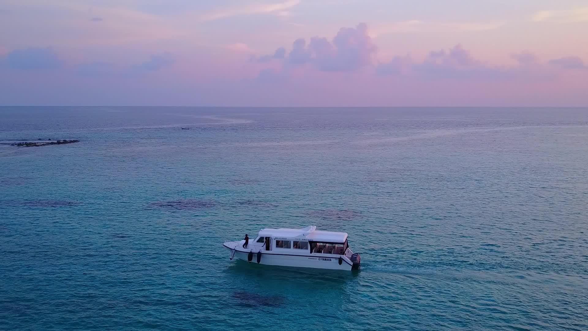游客在蓝海和棕榈树附近的白沙背景下航行视频的预览图