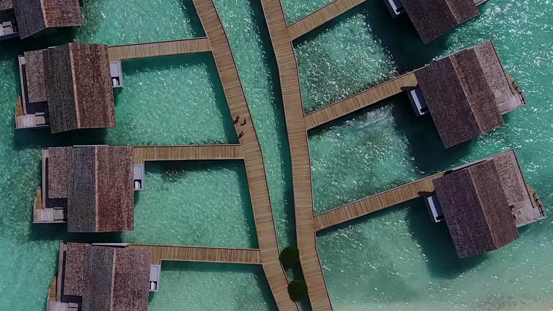 天堂海滨海滩度假的阳光采摘蓝绿色的大海棕榈树附近明亮视频的预览图