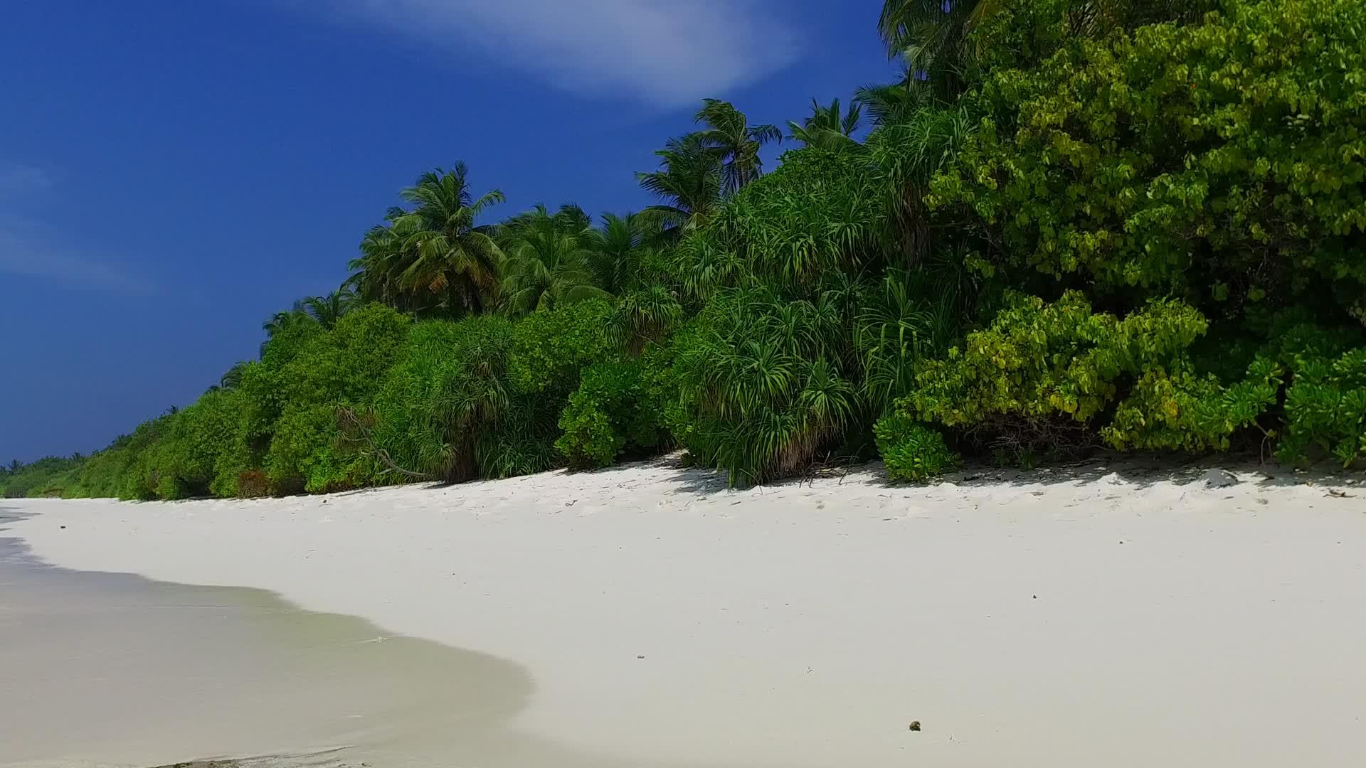 阳光下水蓝色海洋和白沙背景完美旅行海滩日间旅行视频的预览图