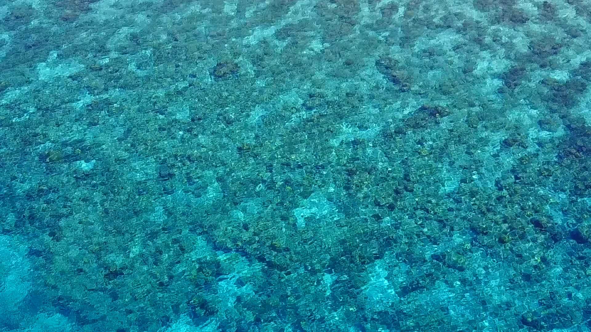 在绿松石水和珊瑚礁附近的白色和珊瑚礁视频的预览图