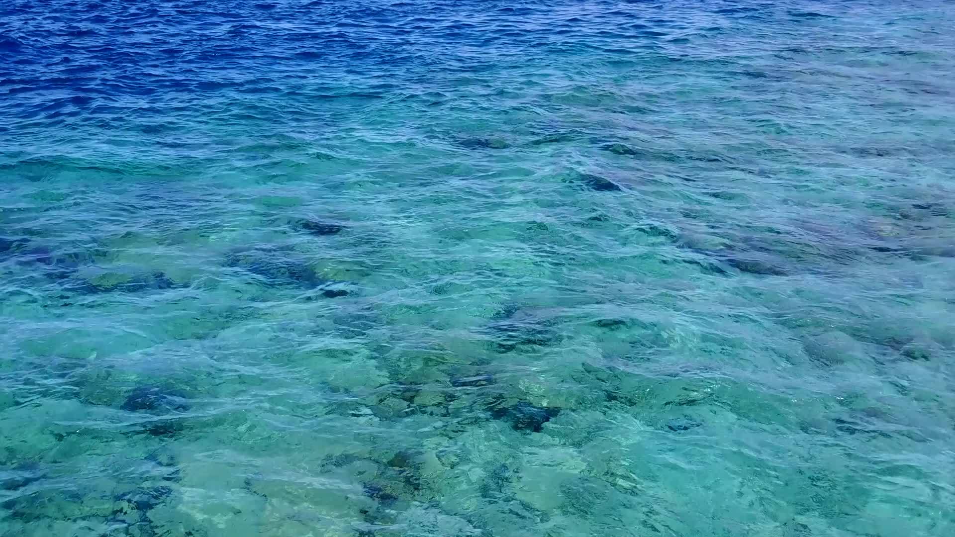 蓝色的海洋棕榈树附近有一个白色的沙底背景有一个美丽的海岸海滩视频的预览图