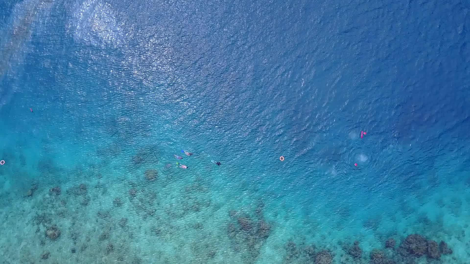 蓝绿环礁湖和珊瑚礁附近的白沙背景伴随着阳光和阳光视频的预览图