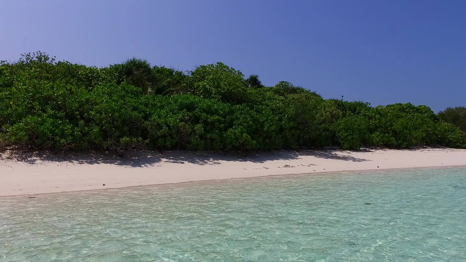 以蓝海和白沙为背景的热带海湾海滩时间在海浪附近视频的预览图