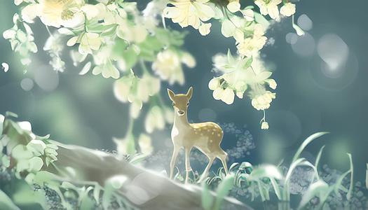 林中之鹿视频的预览图