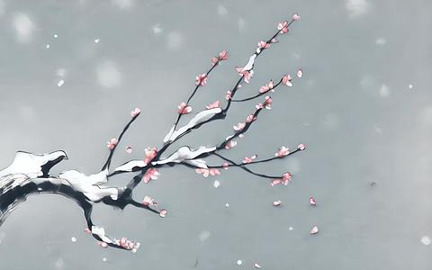 冬日梅花视频的预览图