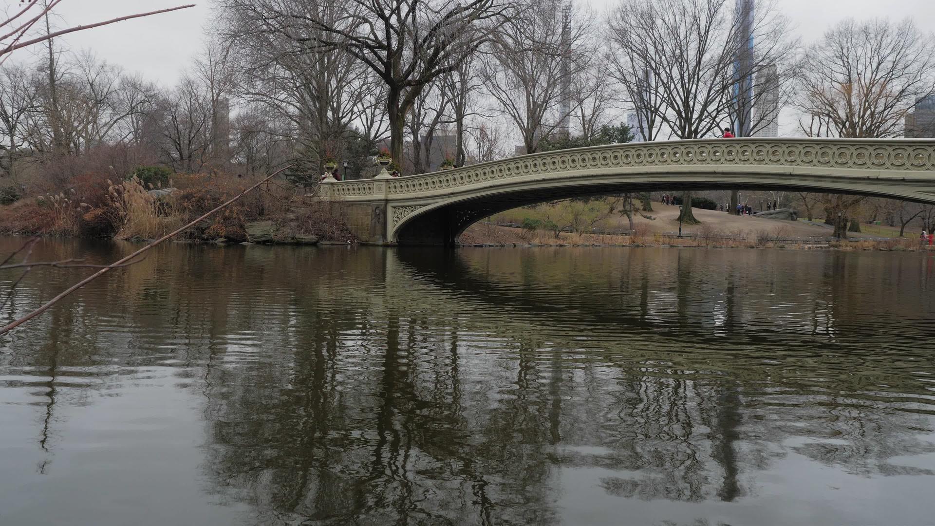 在中央公园的湖上桥上视频的预览图