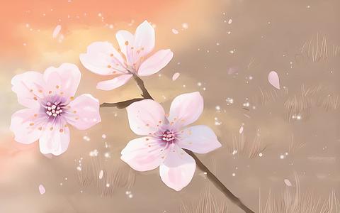春天小清新手绘樱花视频的预览图