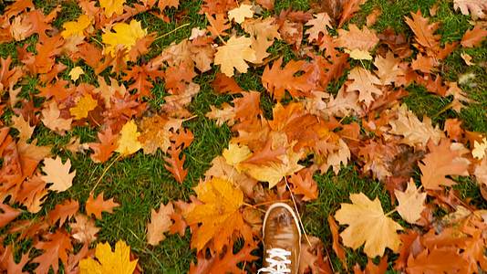 秋天落叶中的男鞋一步一步的概念踩在落叶鞋的调味料上视频的预览图