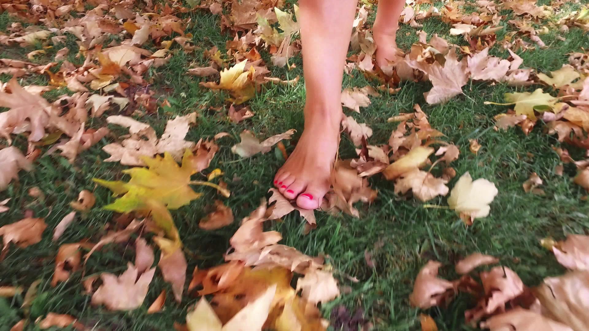 秋天阳光明媚的秋天赤脚女人在秋天的森林里行走视频的预览图
