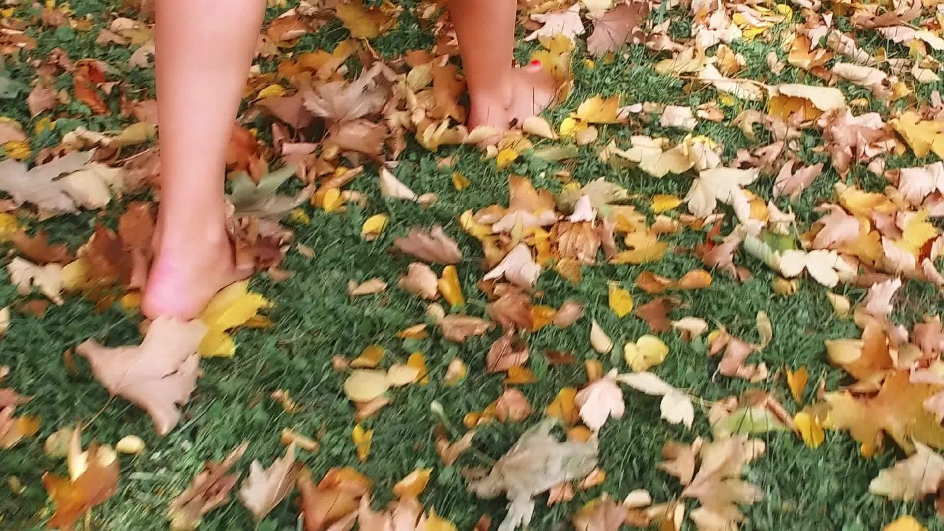 女人在秋叶上在秋叶上慢慢地走着视频的预览图