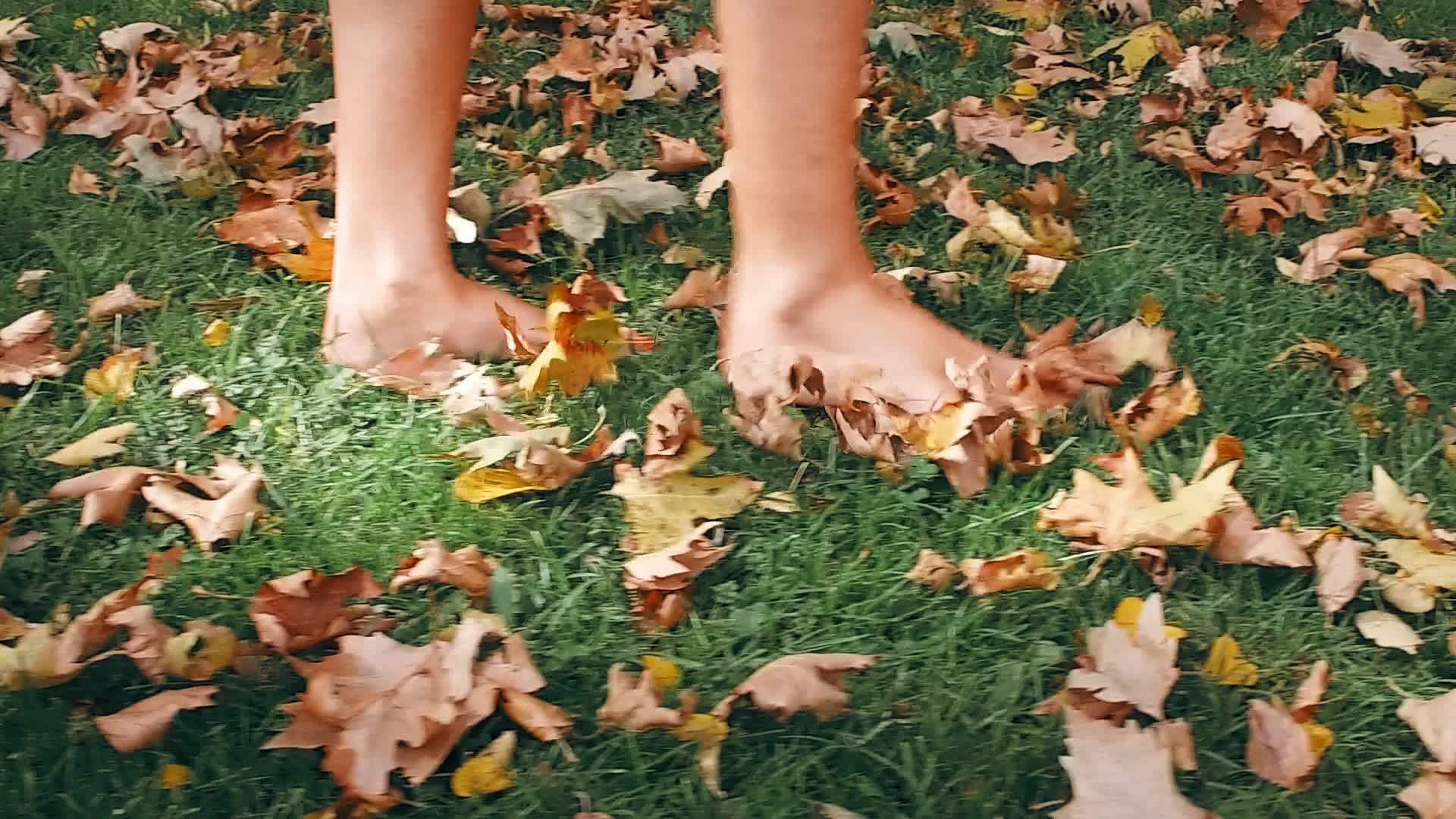 女人穿黑色靴子光着脚穿黑色靴子秋天她们用落叶走路看电影视频的预览图