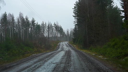 秋天在芬兰的碎石路驱动器中视频的预览图
