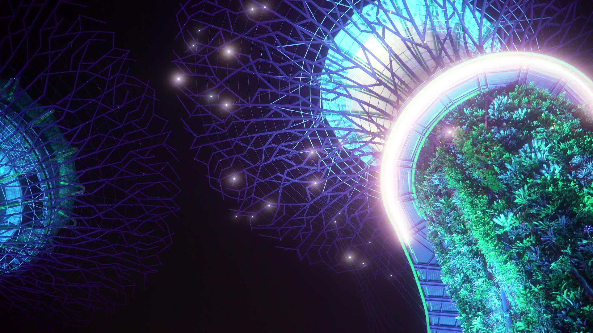 美丽的奈子树雕塑在超级树林果园视频的预览图