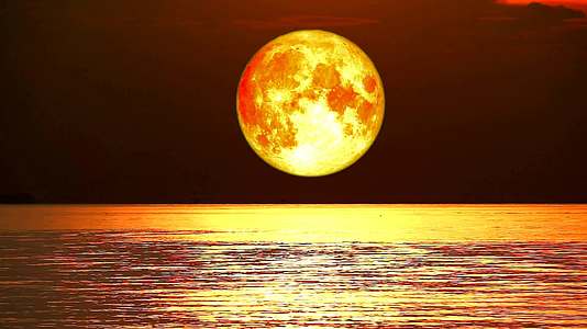 超级海狸满是血月亮在夜空中移动在海浪中移动视频的预览图