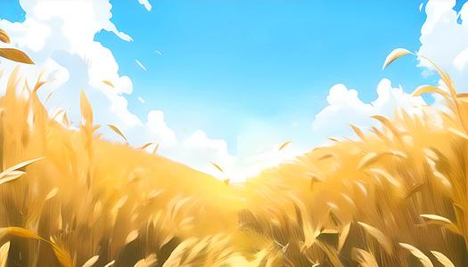 成熟的金色卡通小麦在蓝天白云下视频的预览图