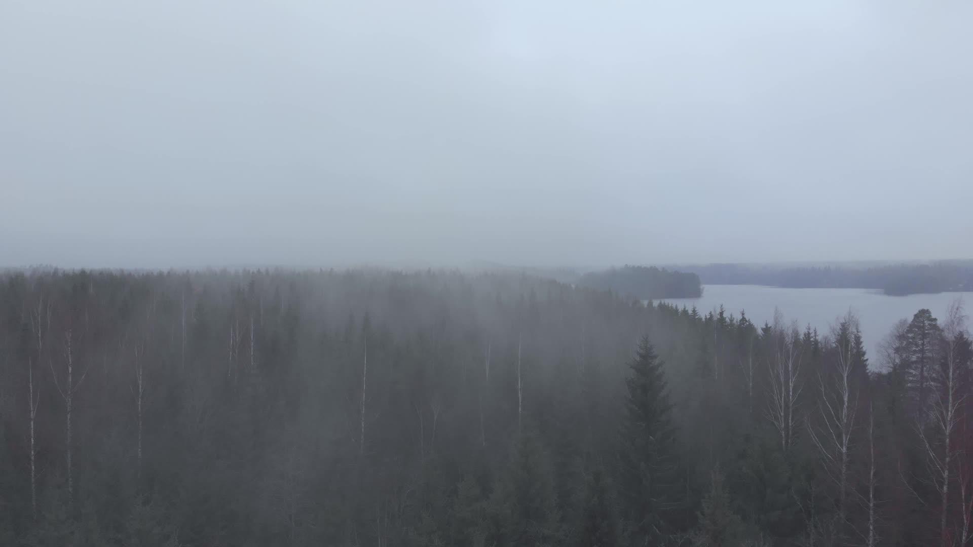 浓雾密集的树顶森林在湖边飞行视频的预览图
