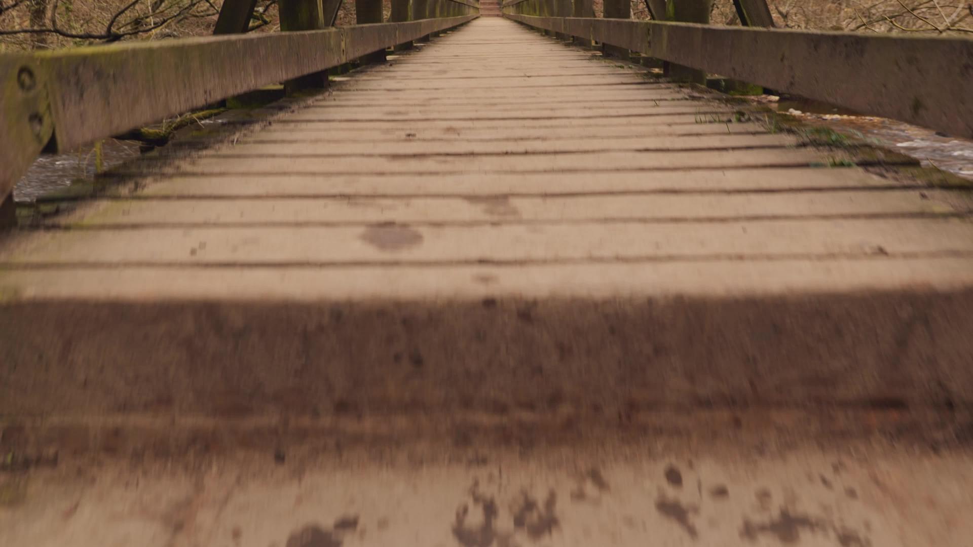 走在森林里的木桥上视频的预览图