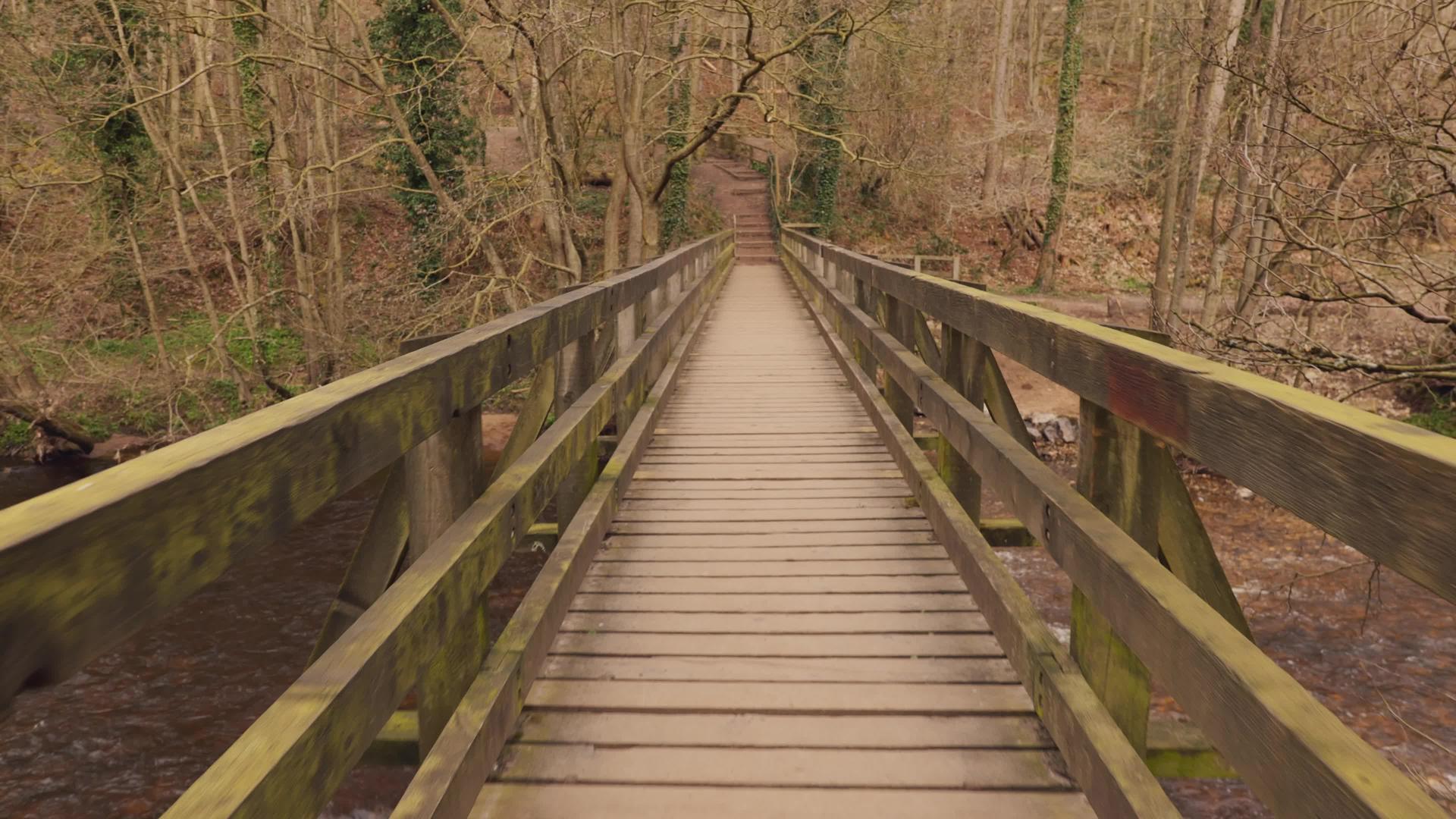 穿过树林中的木脚桥在树林中行走视频的预览图