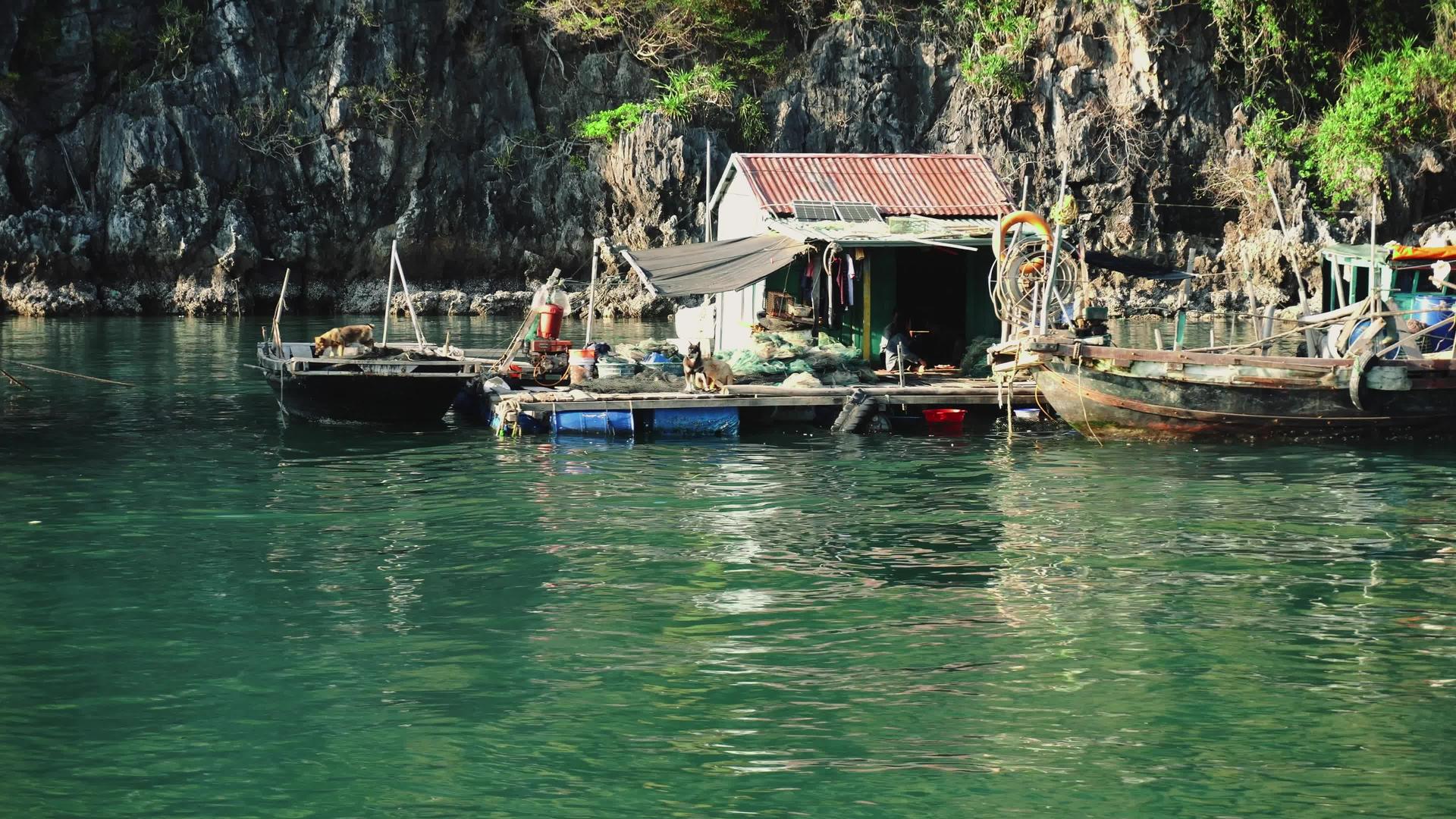 猫巴岛维特南部的漂浮渔村视频的预览图