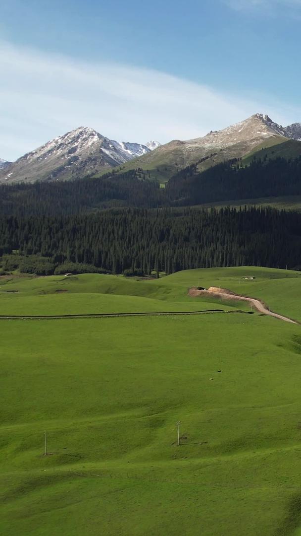 新疆伊犁山脉雪山草原壮丽自然风光视频视频的预览图