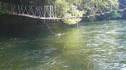 用旧森林木板搭建的吊桥穿过小河在桥下的晨光照亮了水流视频的预览图