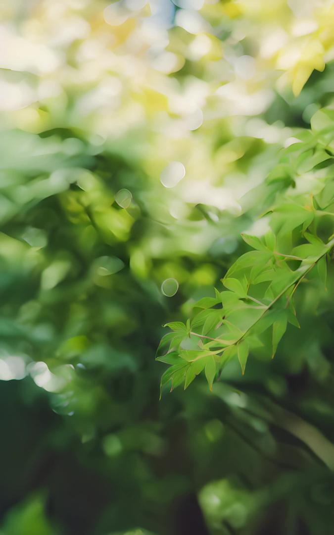 绿色植物清新背景绿色植物清新背景视频的预览图