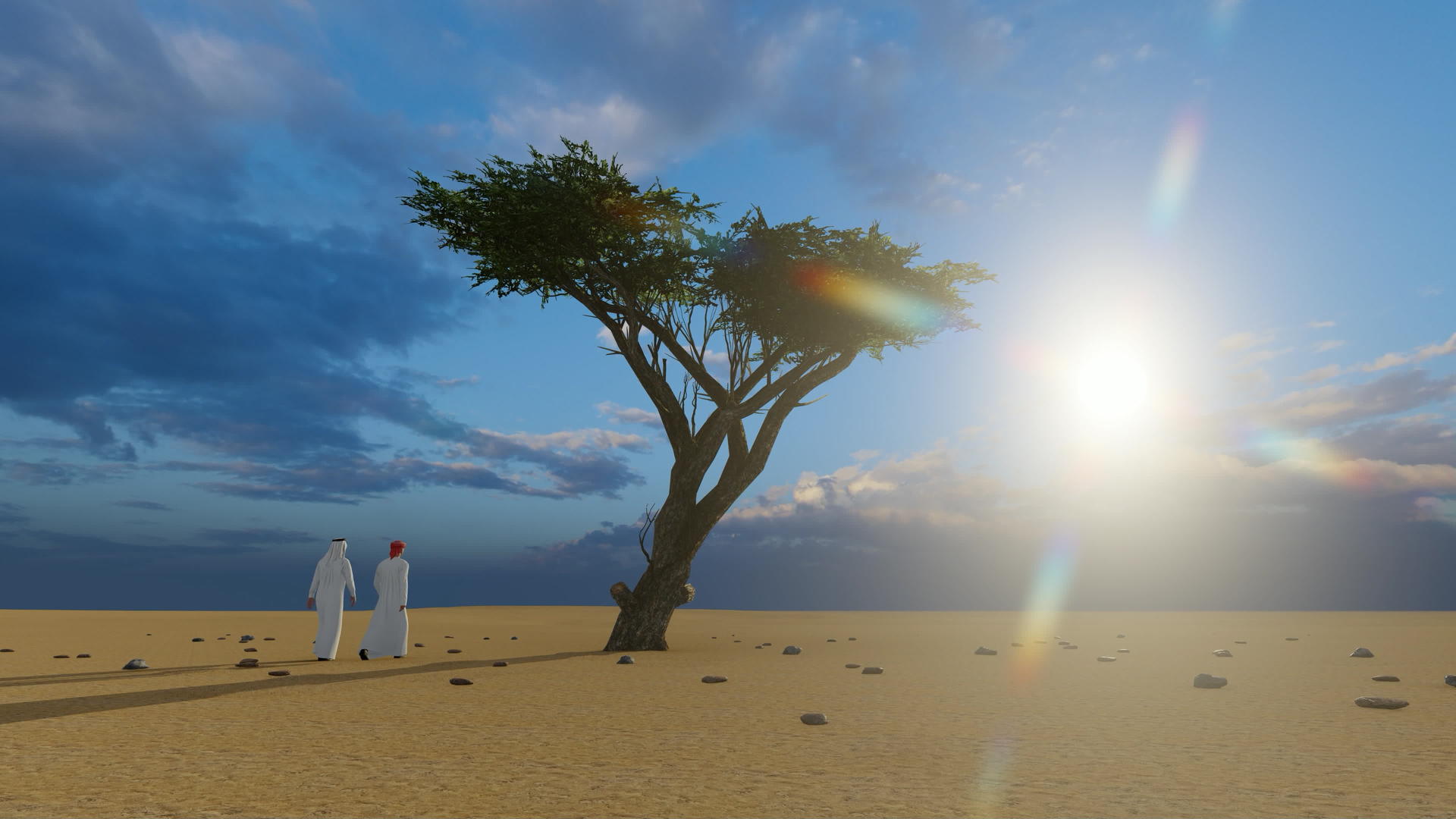日落时阿拉伯男子在沙漠中的一棵树附近行走D视频的预览图