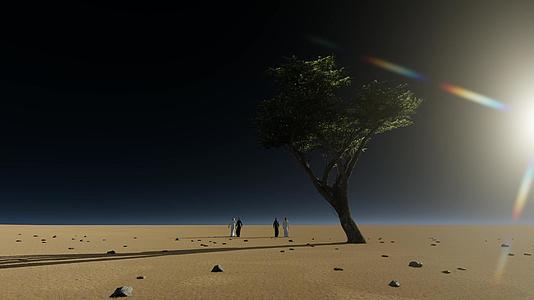 在沙漠中两对夫妇沿着不同的道路走着一棵树视频的预览图