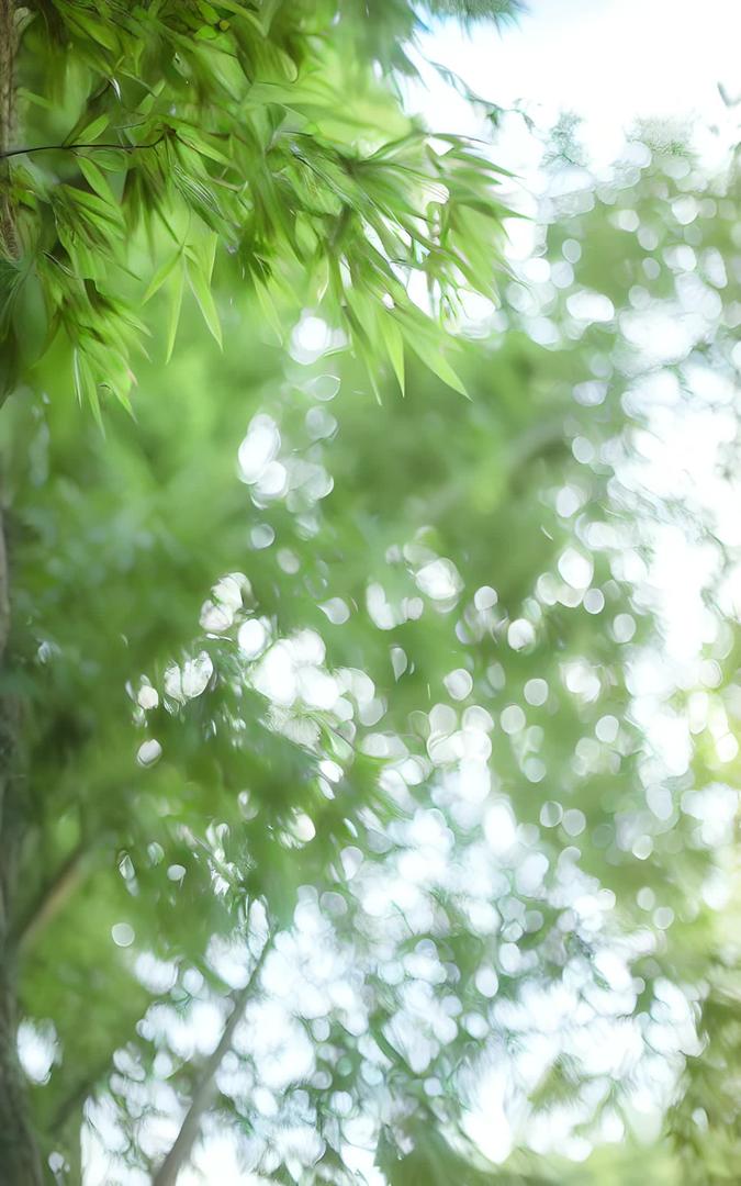 竹叶虚化园林景观视频的预览图
